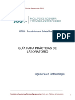 Extracción de ADN, Cuantificación y Electroforesis