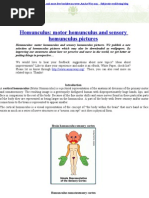 Download Homunculus motor homunculus and sensory homunculus pictures by Personal development program Personal development books ebooks and pdf SN34936643 doc pdf