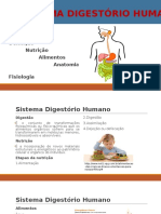 Sistema Digestorio Humano