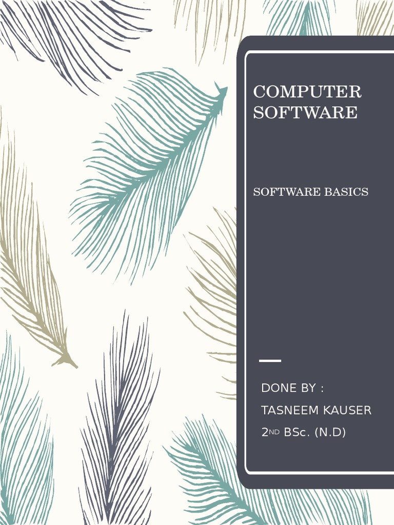 sofeware Operating System Computer Program