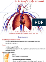 Curs 24 - Kinetoterapia in IVC