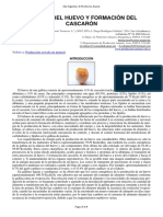 100-Sintesis_Huevo.pdf