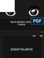 Mata Merah - Endof