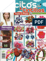 Lacitos y Cintillos Nº24.pdf