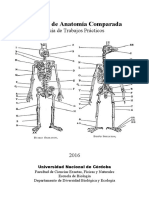 Guía Anatomía Comparada Vertebrados