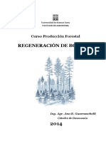 Ayuda Didáctica 2014. Sistemas de Regeneración de Bosques