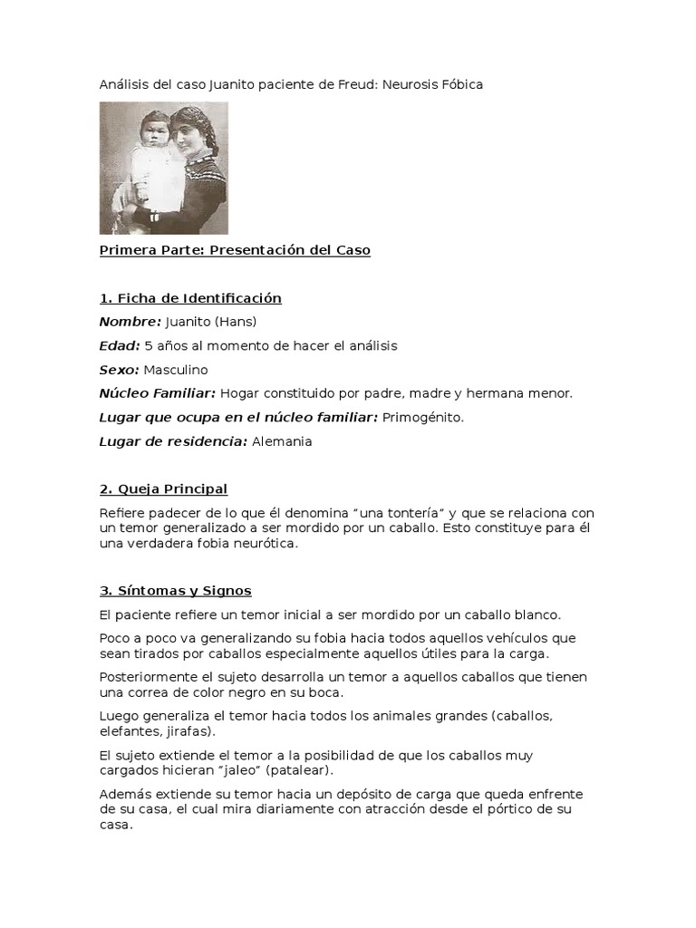 Análisis Del Caso Juanito Paciente de Freud | PDF | Fobia | Sigmund Freud