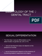 Embryology of The Genital Tract