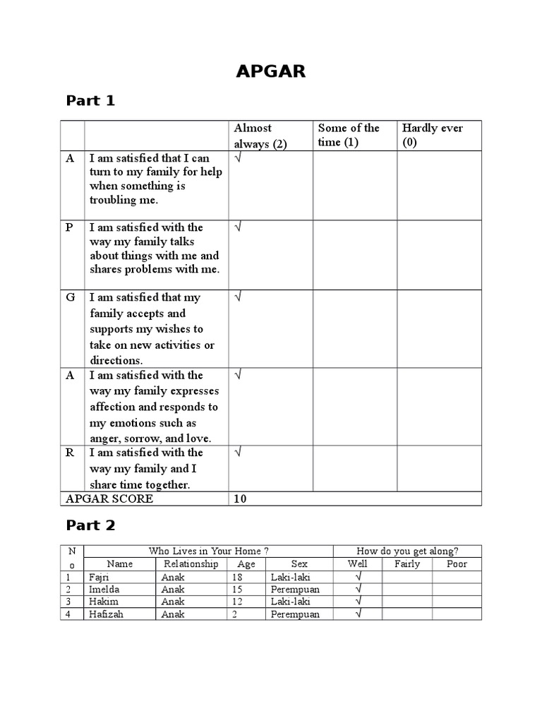 Family APGAR and SCREEM Assessment | PDF | Interpersonal Relationships ...