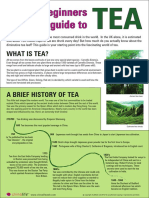A Beginners Guide To: What Is Tea?