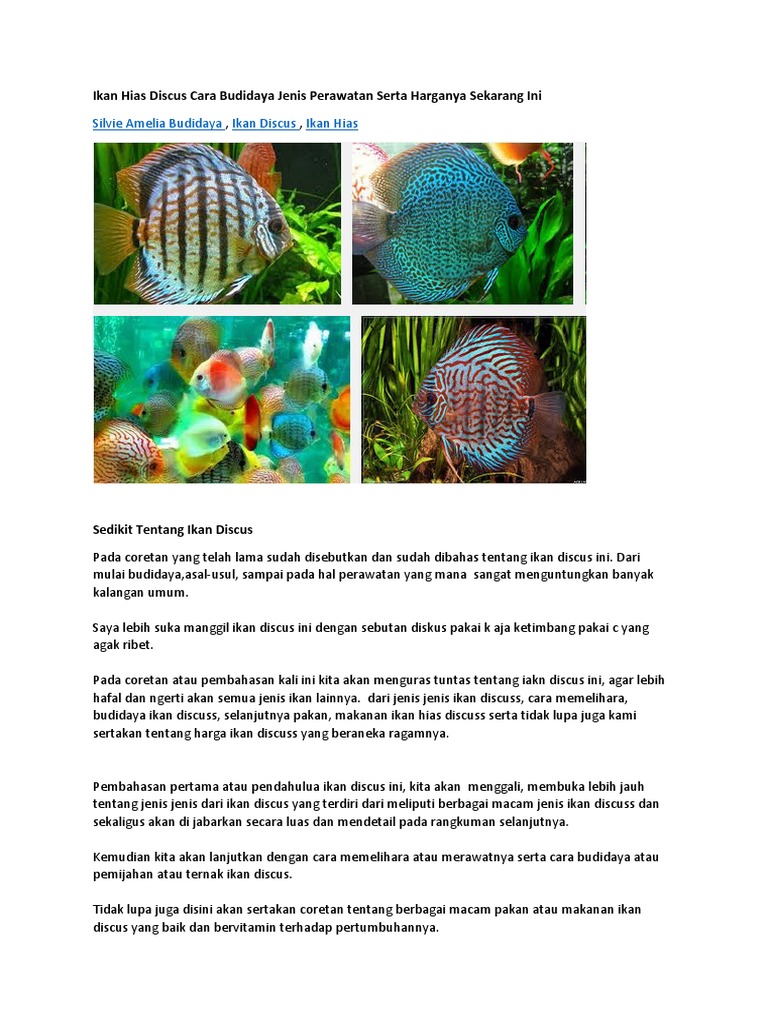 Ikan Hias Discus Cara Budidaya Jenis Perawatan