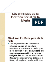 Los Principios DSI