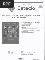 Psicologia_do_Trabalho_Diane_Krumm_Patre.pdf