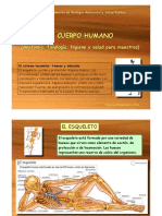 T3-Huesos-musculos.pdf