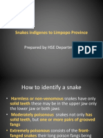 Limpopo Snakes.pdf