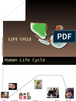 Life Cycle Untuk Ngajar