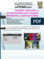 Enfermedades laborales por R. biologicos y psicosociales.pptx