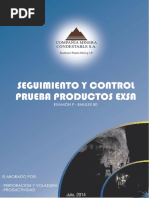 Informe Seguimiento y Control - Explosivos