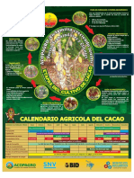 CALENDARIO.pdf