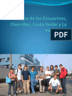 Geología de las Casuarinas, Chorrillos, Costa.pdf