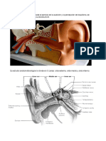 Vestibular