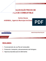 Fuel Cell EVs