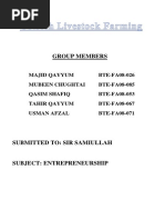 Feasibility Study of Ostrich Farming in Pakistan