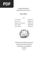 Download Laporan Mie Bihun by Ruvina Chandra SN349498438 doc pdf