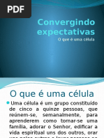 1 - Convergindo expectativas
