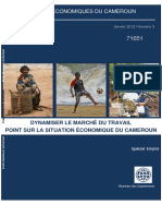 Cahier Economique Du Cameroun Special Emploi v2