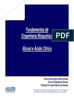FEB - 12 - Álcool e Ácido Cítrico - REV04.pdf