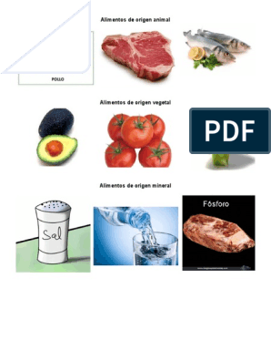 Alimentos de Origen Animal y Vegetal | PDF