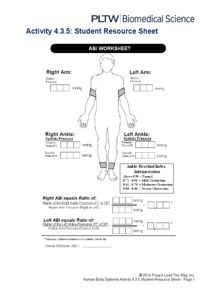 4 3 5 A SR Abi Worksheet PDF
