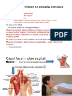 Miscari Cap Si Trunchi