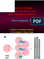 Dimitris Loukopoulos.pdf