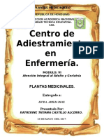 Republica de Honduras Informe de Plantas Medicinales