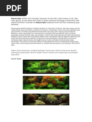 Aquascape Max