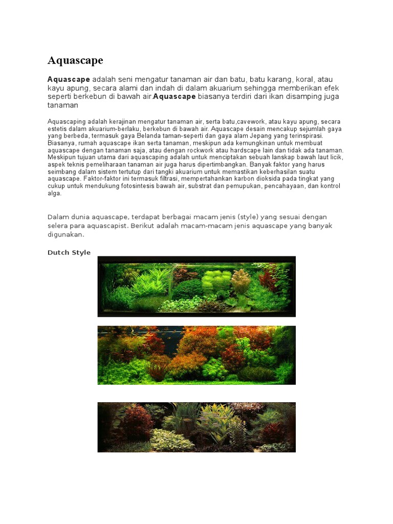Aquascape Max