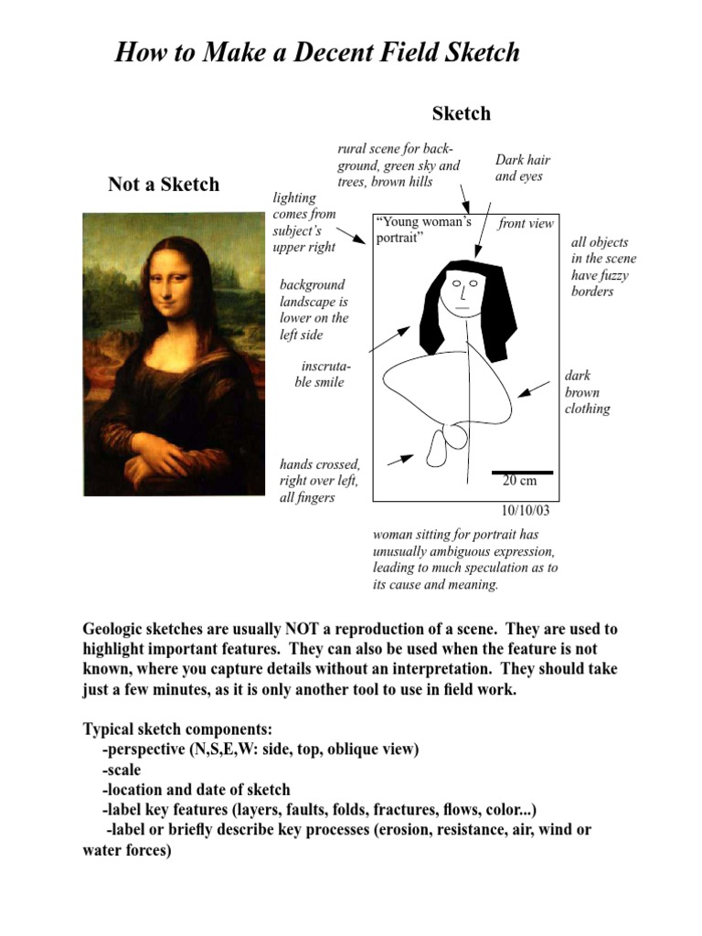 Field Sketch Techniques and Portrait Analysis | PDF | Science | Geology