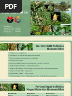 Download Subkelas Hamamelidae Kelompok 2 BioC15 by Amalia Heryani SN349550630 doc pdf