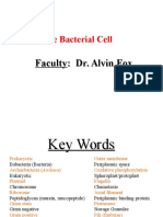 The Bacterial Cell: Faculty: Dr. Alvin Fox