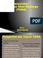 PPT Toga