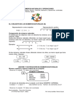 Números Naturales y Operaciones