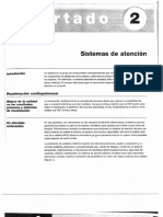 RCP Avanzado Sistema de Atención