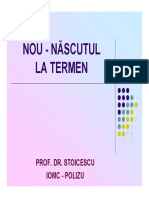 NN termen.pdf