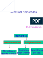 Intestinal Nematodes: Dr. Devika Ddawela