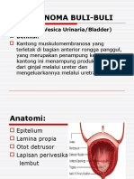 Bladder Cancer 