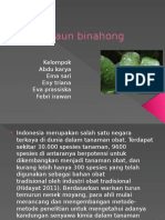 Daun Binahong