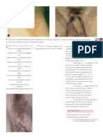 Fitzpatrick Dermatology 1