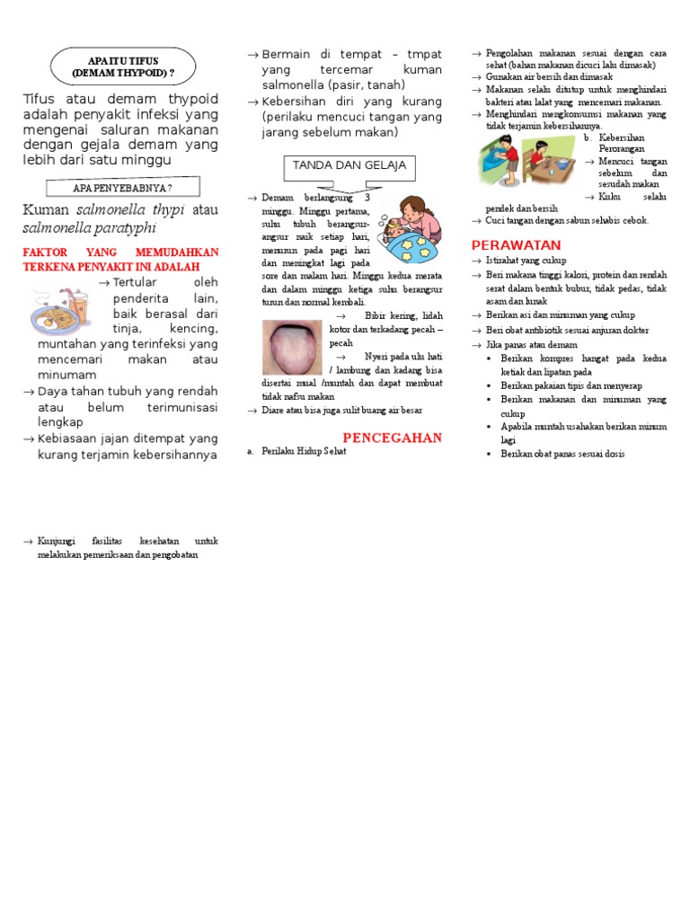 Leaflet Demam Typhoid Pdf